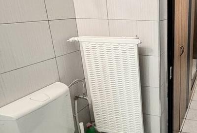 Colentina Rau, Mc Donalds, Parc Plumbuita, renovat 1/4 dec - 13