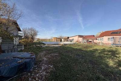 Teren de 2800 mp, în Micula - 4