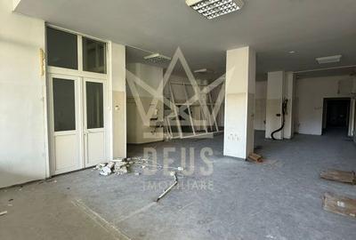 Spațiu comercial, de 290 mp, în Plopilor - 5