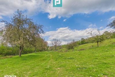 Casă cu 2 camere cu Teren 17681 Mp în Almaș - 13