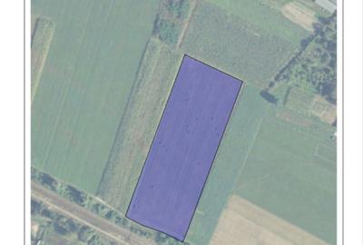 Spațiu comercial, în Coldău - 3