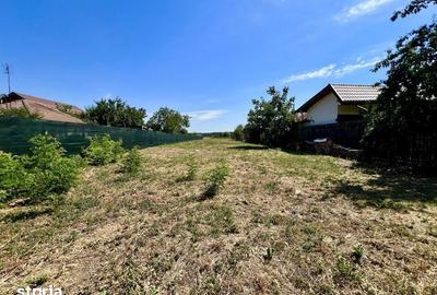 Teren de 3300 mp, în Snagov - 5