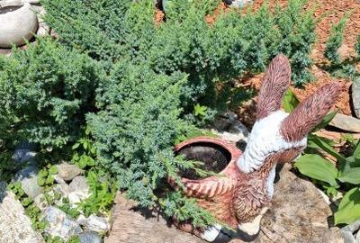 Spațiu comercial, de 270 mp, în Viștișoara - 9