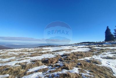 Teren  extravilan - 12