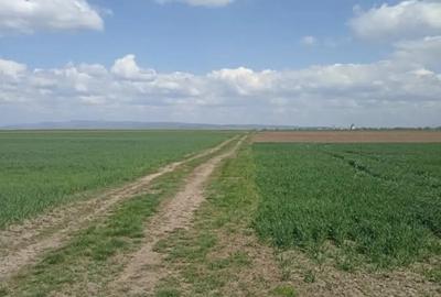 Teren de 7300 mp, în Chichiș - 3