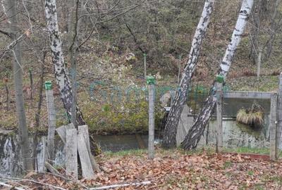 Cabană în zonă montană, Bihor, oportunitate de investiție,Gaminvest, V3155B - 21