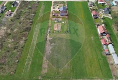 Teren de 1343 mp, în Cătălina