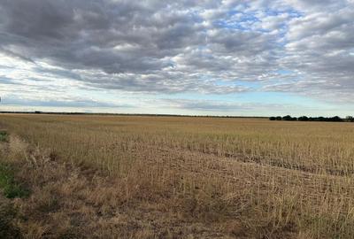 Teren intravilan Branesti - 3