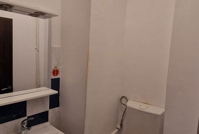 Apartament cu 3 camere decomandat în Tineretului - 7