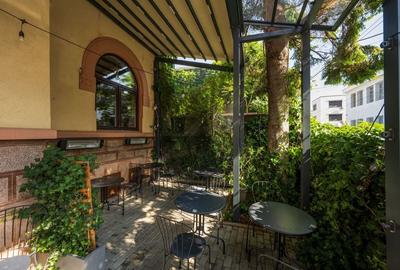 Vindem Afacerea ! Mini Hotel + Cafenea/ Restaurant ! Parcul Carol ! - 16