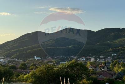 TEREN INTRAVILAN 2900 mp SIMLEU SILVANIEI/ Str. Corneliu Coposu/Salaj - 8
