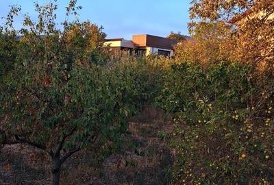 Oportunitate dezvoltare/constructie  2 proprietati Casa+teren 2200 m2,zona buna, - 8
