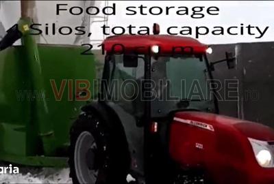 Spațiu comercial, de 25,000 mp, în Chiscani - 9