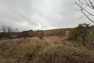 Spațiu comercial, în Ciurila - 5