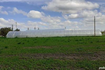 Casă cu 7 camere în Brastavățu - 5