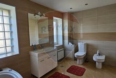 Vila deosebita de vanzare in Chitila, la 150 m de padure, in apropiere - 25