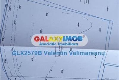 Teren Straulesti VI 146 - 3