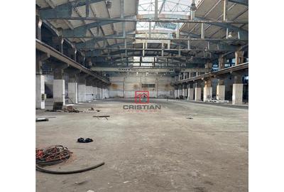 Spațiu comercial, de 14,000 mp, în Zona Liberă - 6