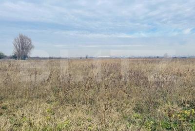 Teren Construcții extravilan de 5792 mp, în Popoveni - 4