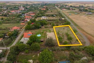 Teren intravilan 1584 mp in Murani - ideal pentru casa sau pensiune - 7