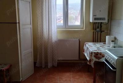 De vanzare !!! Apartament 2 cam Cetate De vanzare !!! Apartament 2 cam Cetate - 1