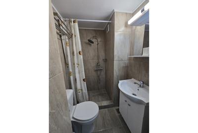 Apartament cu 2 camere semidecomandat, mobilat în Gara de Nord - 7