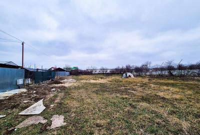 Teren Intravilan Prundu Mic Pitesti - 4