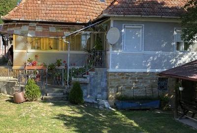 Casă cu Teren 6000 Mp în Central - 4