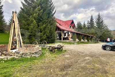 Spațiu comercial, de 600 mp, în Central - 12