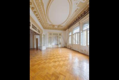 Vila deosebita Lascar Catargiu gradina mare Vila deosebita Lascar Catargiu gradina mare - 13