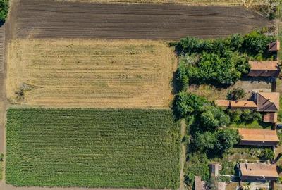 Casa 4 camere de Vanzare - 2