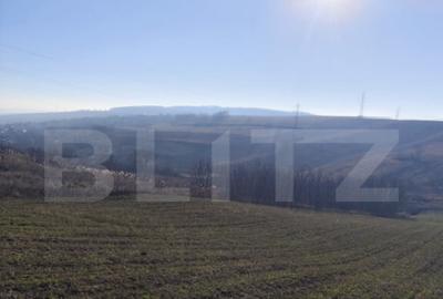 Teren 5000 mp Rediu, oportunitate investitie - 1