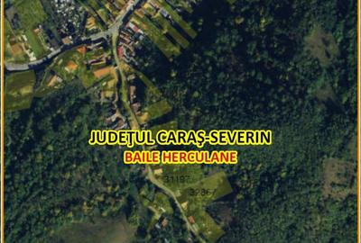Teren în Pecinișca - 9