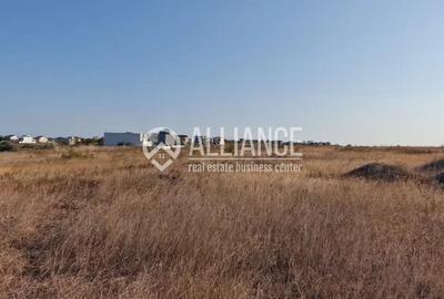 PALAZU MARE(COD 05) - Teren intravilan deschidere directă la Siutghiol - 14