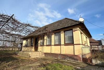 Casă cu 2 camere în Mica - 8