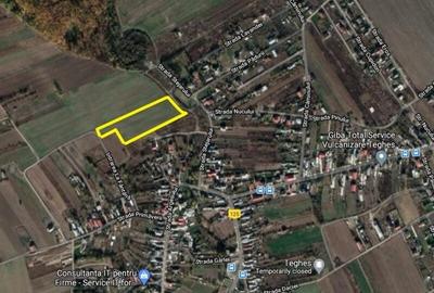 Domnesti Teghes, 10000mp, intravilan, P+2+M dubla deschidere 50m, utilitati - 1
