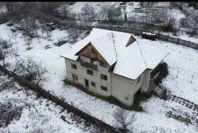 VILA ca-n pove?ti situata intr-o OAZA de VERDEA?A - 6