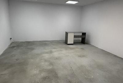 Spațiu industrial, de 590 mp, în Exterior Vest - 5