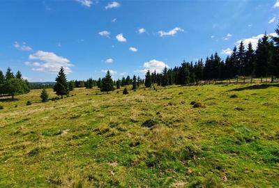 Teren Construcții de 1350 mp, în Beliș - 8