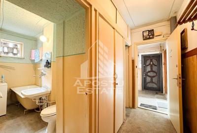 Apartament cu 2 camere semidecomandat, mobilat în Iosefin - 7