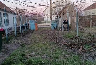 Casă cu 3 camere cu Teren 10000 Mp în Central - 2