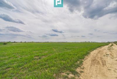 Teren agricol extravilan de 6150 mp, în Giroc - 3