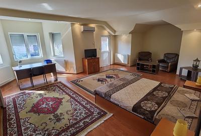 Vila Individuala de Inchiriat in zona Pipera - 14