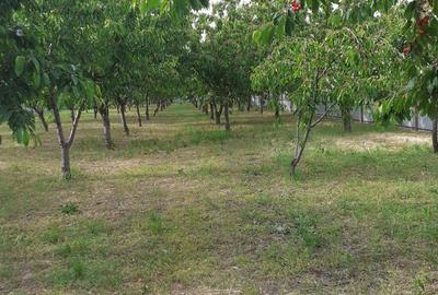 Casă cu 3 camere în Cotești - 6