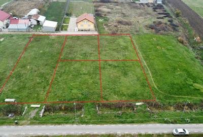 Trei parcele de 600 mp in Botiz | Toate utilitatile, aproape de oras - 4