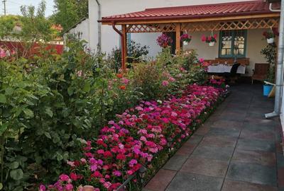 Casă cu 6 camere în Merei - 10