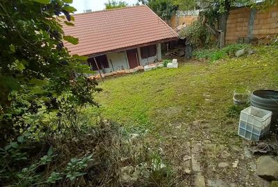 De vanzare casa batraneasca cu teren generos in Poiana Golului Re?i?a De vanzare casa batraneasca cu teren generos in Poiana Golului Re?i?a - 3