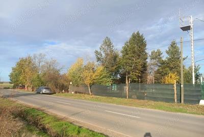 Teren intravilan 9970 mp , com. Chirnogi, jud. Calarasi (situat la 50-60 km de Bucuresti) - 5