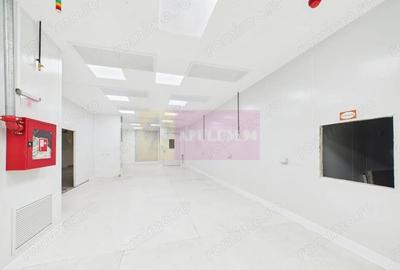 Spatiu Industrial | Comercial Dristor VITAN | RACARI - 4