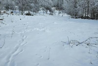 Teren de 949 mp, în Sălătrucel - 9